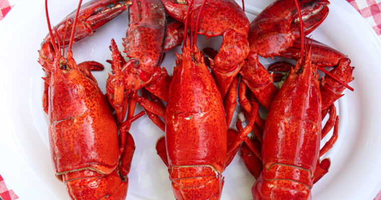 HOW TO HOST YOUR OWN LOBSTER FEST